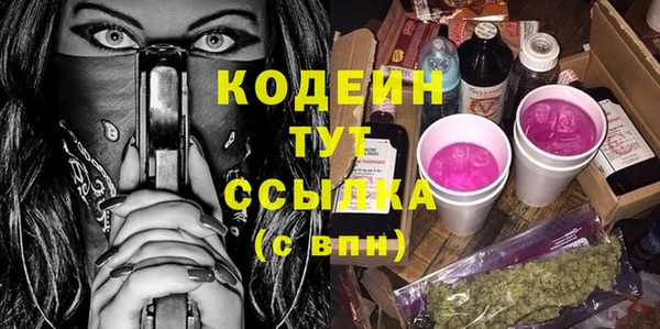 хмурый Гусь-Хрустальный