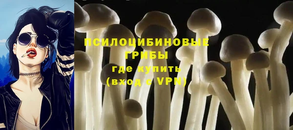 хмурый Гусь-Хрустальный