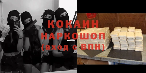 хмурый Гусь-Хрустальный