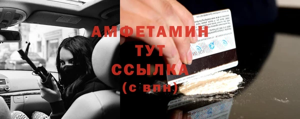 хмурый Гусь-Хрустальный