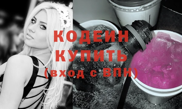 хмурый Гусь-Хрустальный