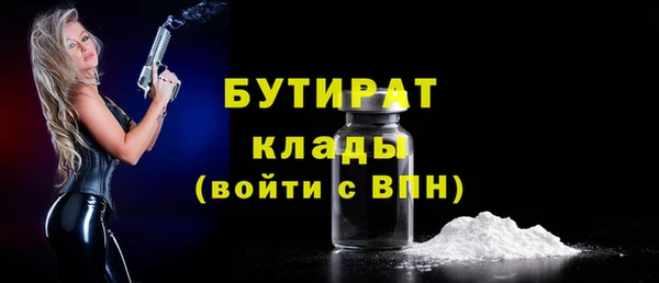 хмурый Гусь-Хрустальный