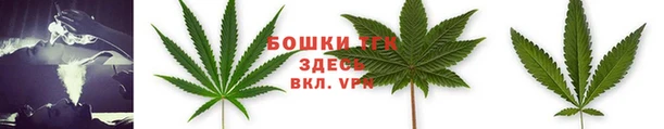 молекула духа Нязепетровск