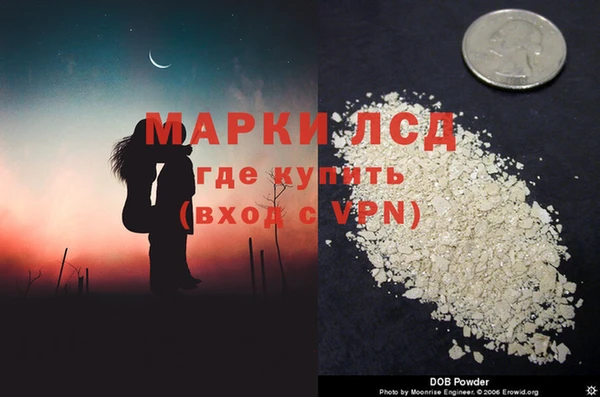 apvp Гусев