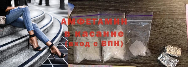 сатива Няндома