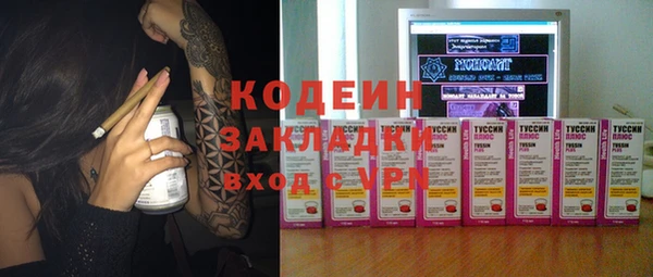 хмурый Гусь-Хрустальный