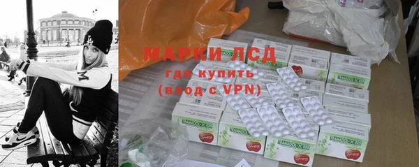 apvp Гусев