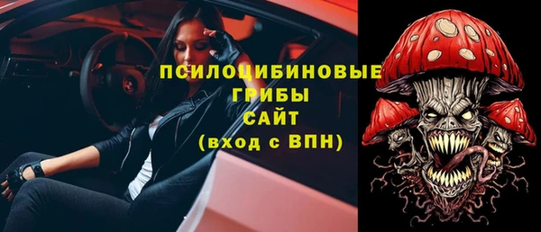 хмурый Гусь-Хрустальный