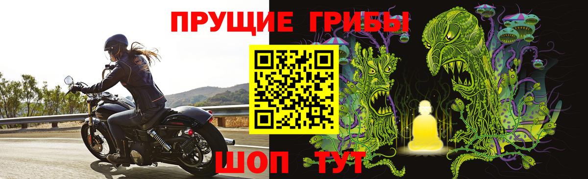Наро-Фоминск  Галлюциногенные грибы Psilocybine cubensis  Вход с VPN 