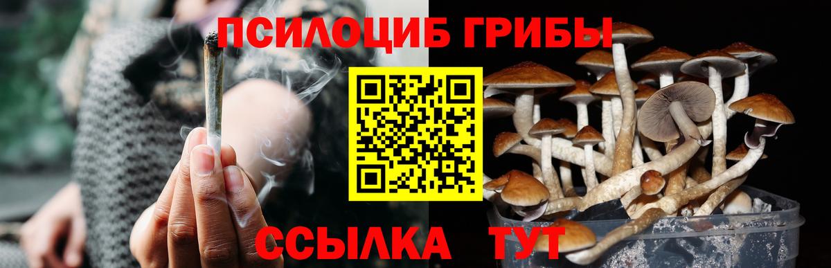 Псилоцибиновые грибы Psilocybine cubensis Наро-Фоминск